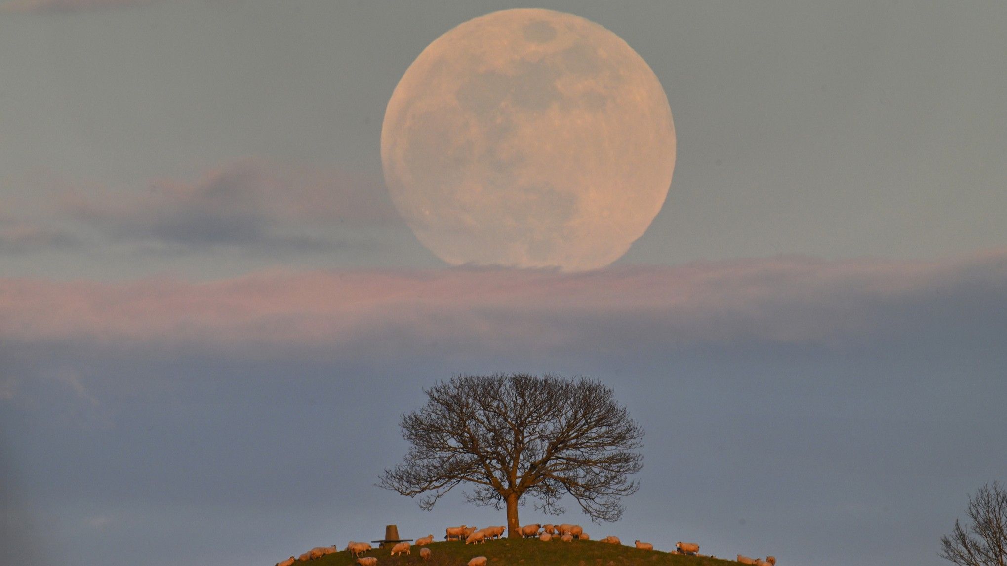 Como capturar o nascer da lua cheia perfeito — bem a tempo para o espetáculo da Lua Azul em 30 de maio