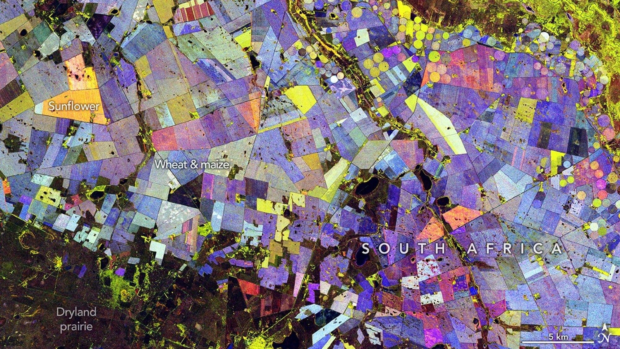 Uma colcha de retalhos arco-íris mostra a agricultura vista do espaço | Foto do dia da NASA para 4 de junho de 2026