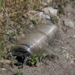 Aves da Ucrânia se adaptam ao ambiente de campo de batalha, tecendo ninhos com cabos de fibra óptica de drones — a vida selvagem engenhosa se adapta a quilômetros de fibras de drones descartadas. Aves da Ucrânia se adaptam ao ambiente de campo de batalha, tecendo ninhos com cabos de fibra óptica de drones — a vida selvagem engenhosa se adapta a quilômetros de fibras de drones descartadas.
