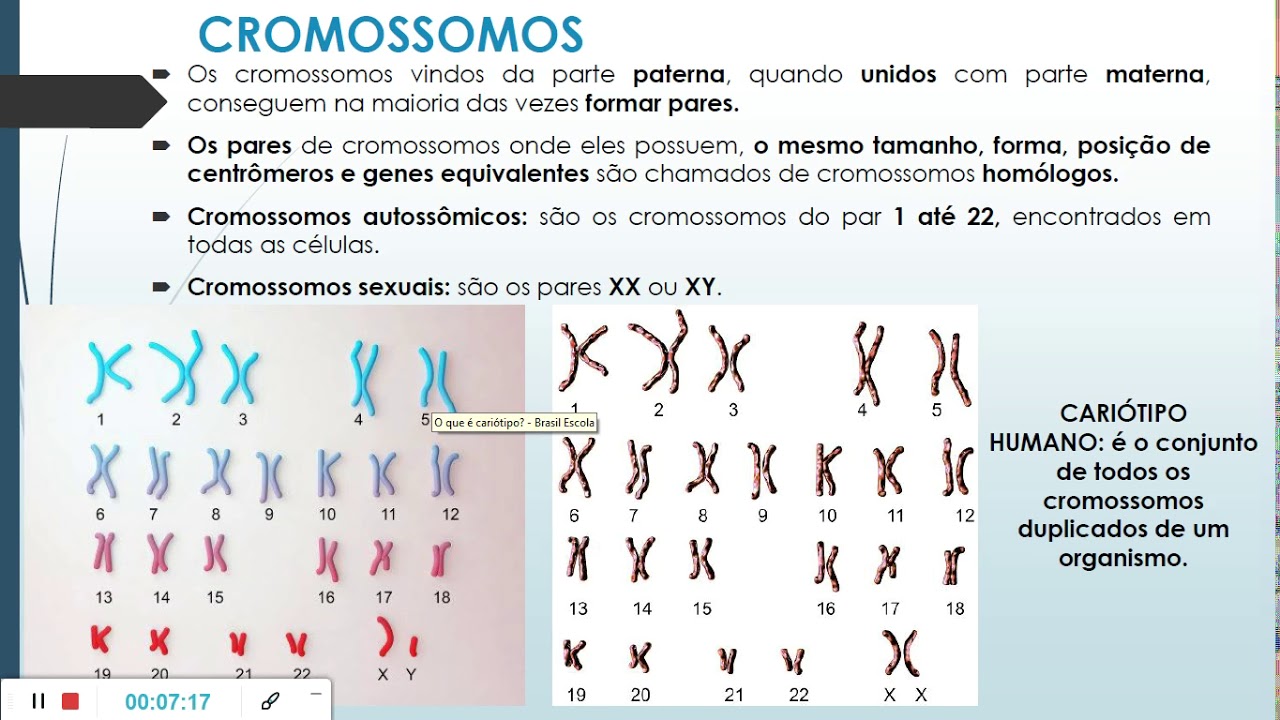 Por que o cromossomo Y retém o UTY?