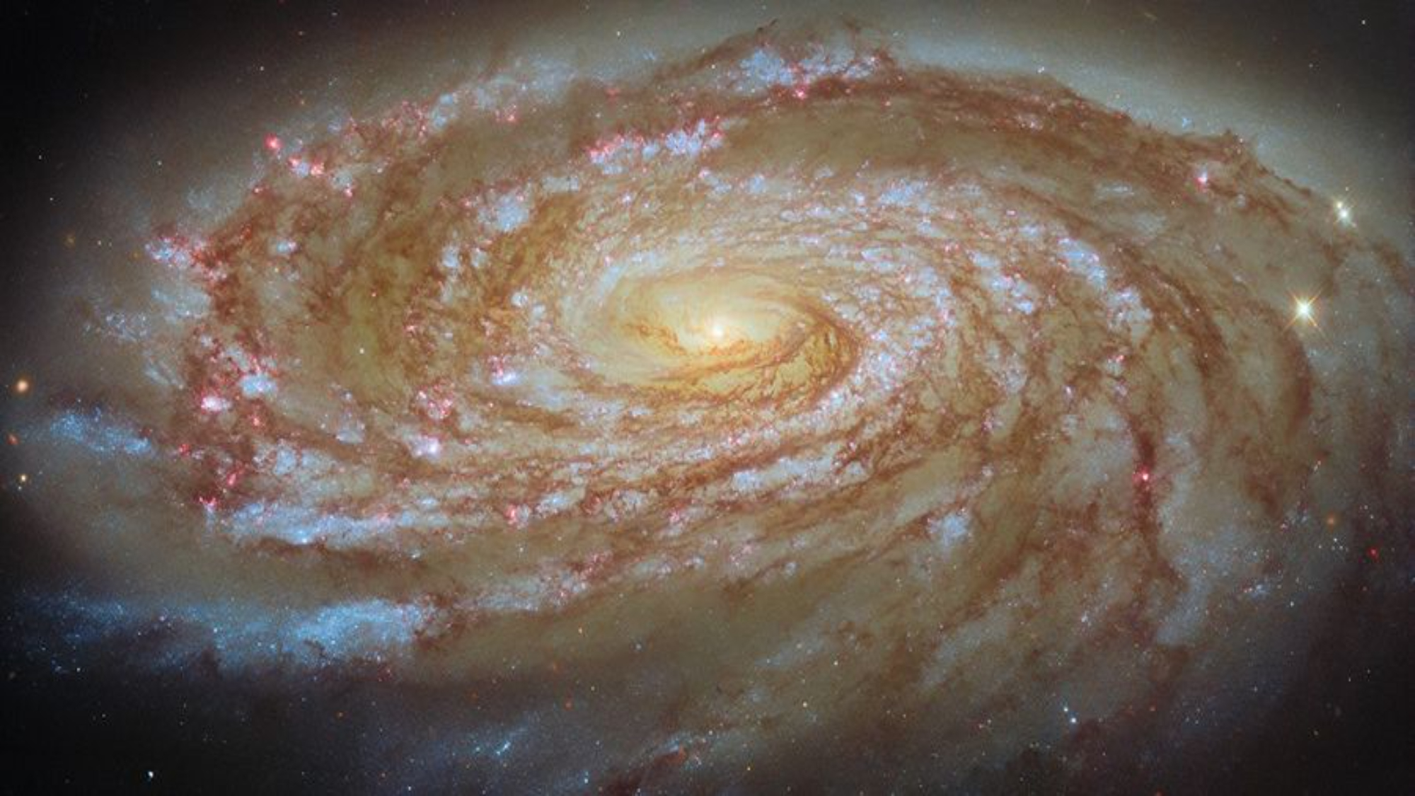 Galáxia espiral rodopiante vai hipnotizar você | Foto espacial do dia de 10 de junho de 2026