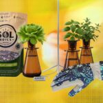 Os 19 Melhores Presentes para Amantes de Plantas e Jardineiros (2026) Os 19 Melhores Presentes para Amantes de Plantas e Jardineiros (2026)