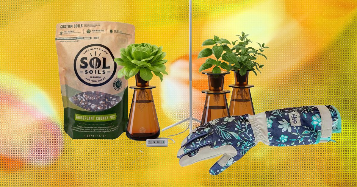 Os 19 Melhores Presentes para Amantes de Plantas e Jardineiros (2026)