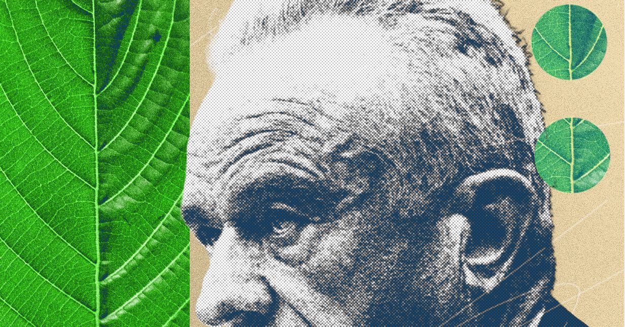A guerra civil do kratom está esquentando, e o MAHA escolheu um lado.