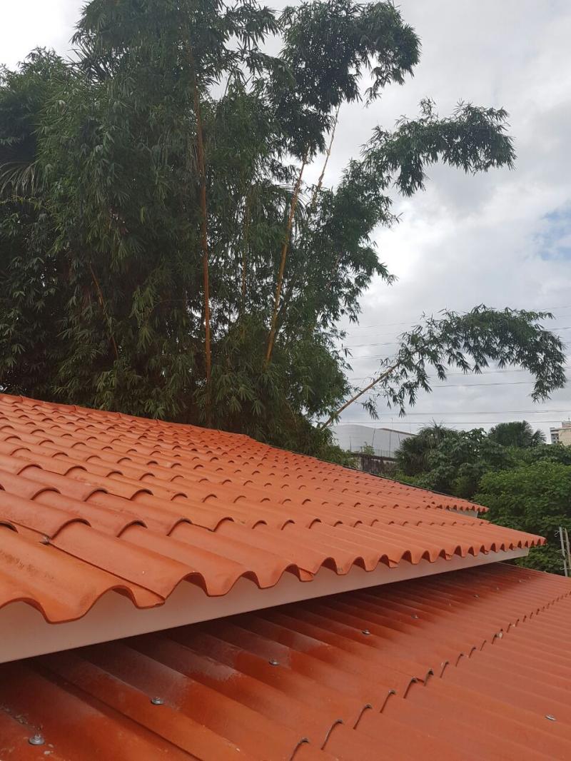 Telhados brancos e parques urbanos reduzem o calor nas cidades, mas não compensam o aquecimento global extremo.